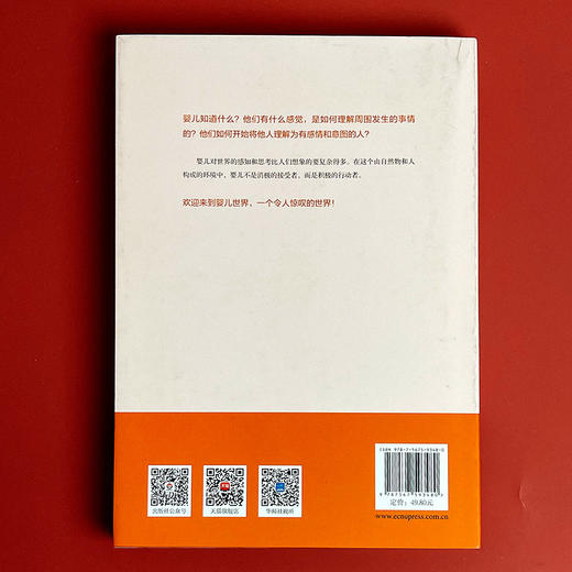 婴儿世界 修订本 婴儿期研究经典著作 婴儿期心理发展 商品图2