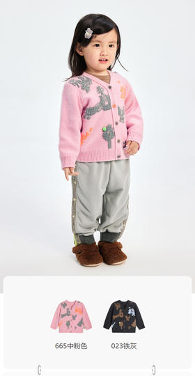 jnby  23年冬款 短款开襟毛衫 YN0310120