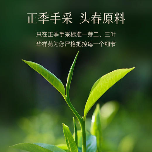 华祥苑-星时光250g特级大红袍礼盒 商品图3