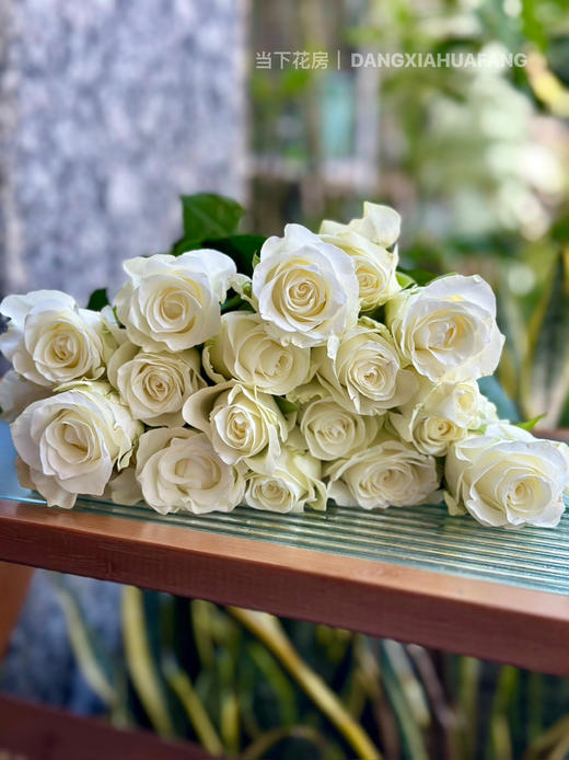 【AB级骄傲玫瑰.第二件减10元】10支/份 长约60-65cm 商品图10