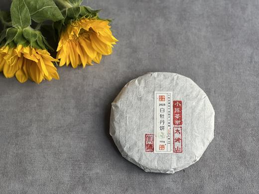 2023白牡丹《小冰肌》，柔！润！滑！细！花香潋滟，汤水柔中带润，润中含香 商品图2