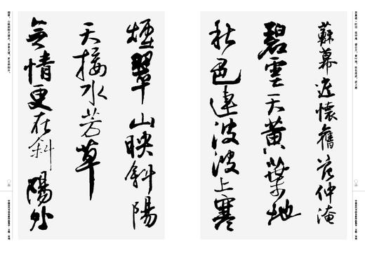 中国历代书法名家作品集字 王铎宋词【现货包邮】RM0118 商品图1