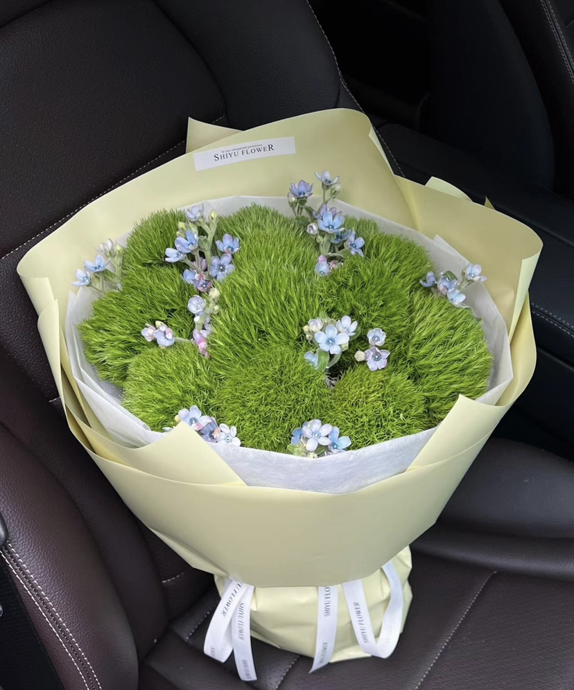 【一路绿灯】绿毛球  （绿石竹）约10支/扎