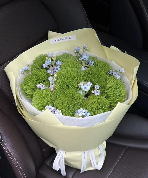 【一路绿灯】绿毛球  （绿石竹）约10支/扎 商品图0