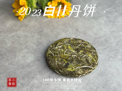 2023白牡丹《小冰肌》，柔！润！滑！细！花香潋滟，汤水柔中带润，润中含香 商品图5