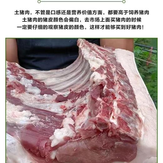 临泉农家散养黑猪土猪肉现杀儿时土猪肉 商品图2