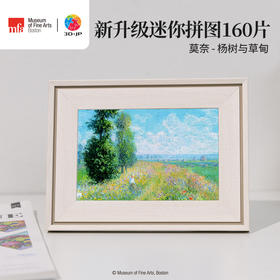 160片 迷你塑料拼图 Q1140 波士顿美术博物馆系列-莫奈-杨树与草甸