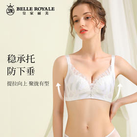 皇家丽美WW118-3内衣小胸显大聚拢文胸收副乳中厚款无钢圈文胸
