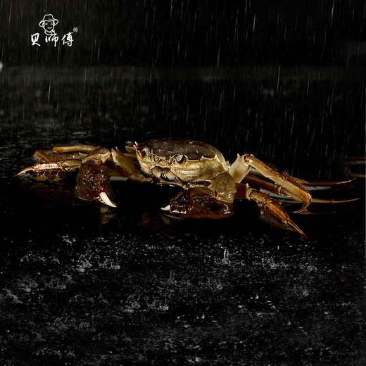 23年贝师傅阳澄湖大闸蟹套餐(蟹卡）1898型 商品图3