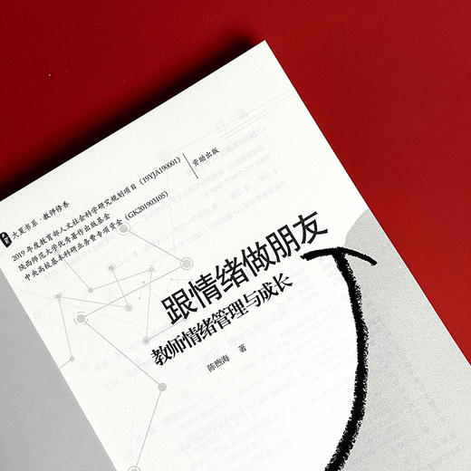 跟情绪做朋友 教师情绪管理与成长 教师修养 大夏书系 中小学教师情绪自我控制 商品图5