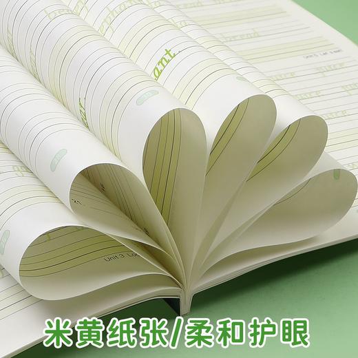 【书行】三年级衡水体英语字帖上下册人教版同步练字帖小学生英文字母书写练习单词小学生每日一练硬笔描红写字帖儿童专用练字本 商品图7