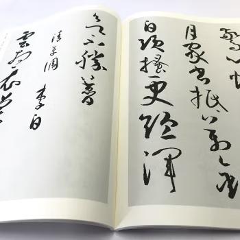 中国历代书法名家作品集字 孙过庭唐诗【现货包邮】RM0116 商品图1