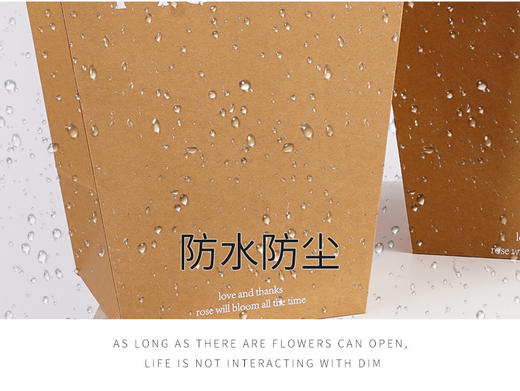 【琳琅】梯形FLOWERE手提袋 2个/包 商品图12