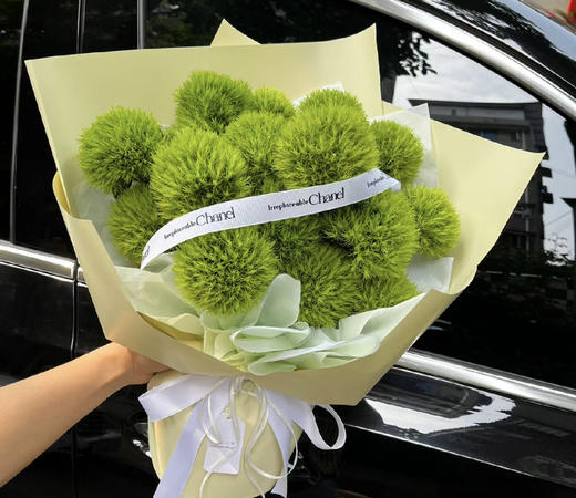 【一路绿灯】绿毛球  （绿石竹）约10支/扎 商品图1