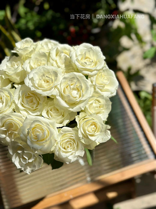 【AB级骄傲玫瑰.第二件减10元】10支/份 长约60-65cm 商品图9