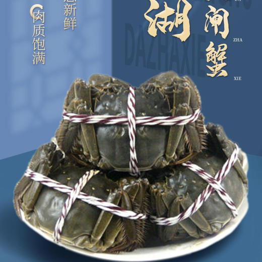 蟹卡 | 阳澄湖大闸蟹 | 公3.5两4只/母2.5两4只 |礼券 商品图10