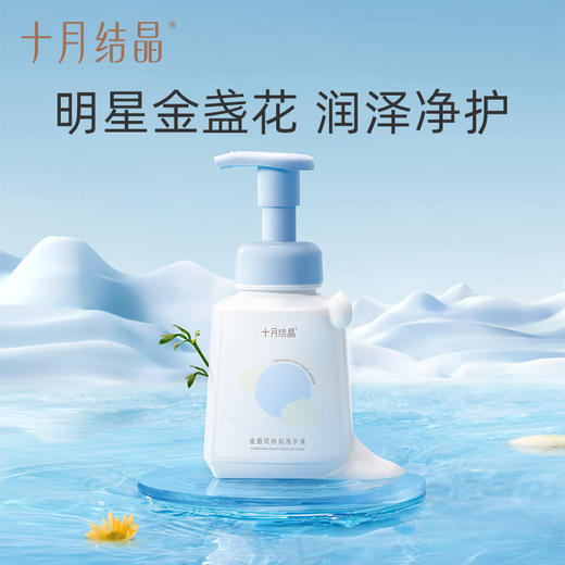 婴儿泡泡洗手液婴幼儿专用儿童清洁洗护便携洗护洗手液 商品图0