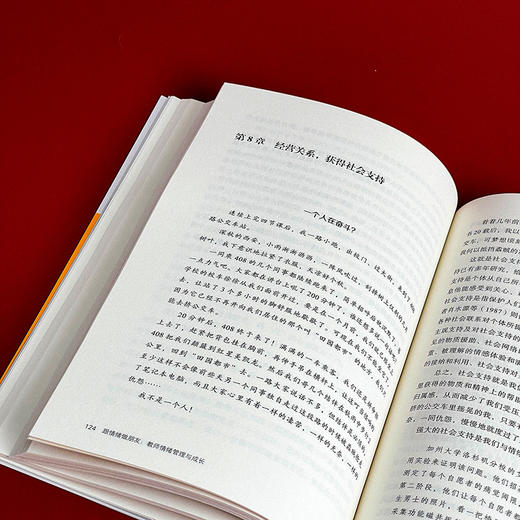 跟情绪做朋友 教师情绪管理与成长 教师修养 大夏书系 中小学教师情绪自我控制 商品图9