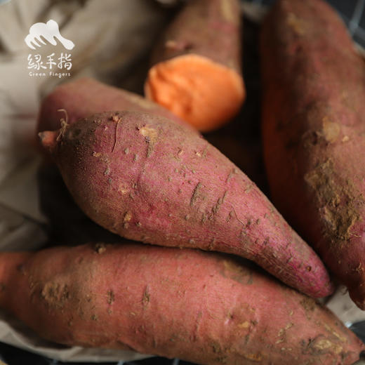 生态河南红薯（哈密红） | 合作生产* Ecological babe pumpkin | Coproduction 商品图2