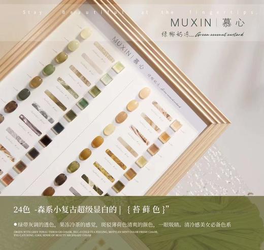 【秒杀价】24色绿椰奶冻 商品图1