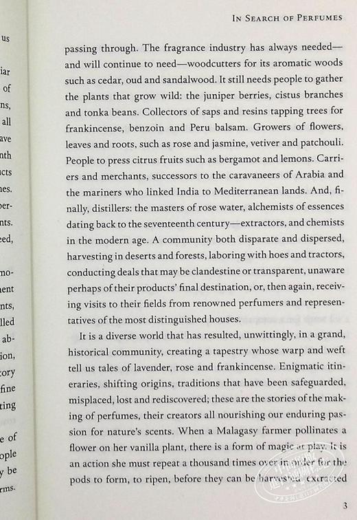 【中商原版】寻找香水 寻找大自然气味来源 In Search of Perfumes the Source of Natures Scents 英文原版 Dominique Roques 商品图5