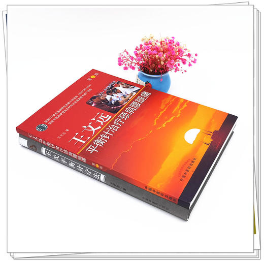 套装2本 王氏平衡针疗法+王文远平衡针治疗颈肩腰腿痛（第二版）中国针灸名家特技丛书 中国中医药出版社 平衡针畅销书籍 商品图4