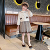 2023春秋季小香风网纱连衣裙套装中大儿童装PJX-FSYP小香风套装 商品缩略图2