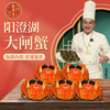 蟹卡 | 阳澄湖大闸蟹| 公4两4只/母2.8两4只|礼券 商品缩略图0