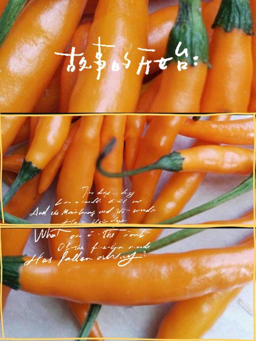 无辣不欢！【合辣】江湖人称小刀辣 辣中有香 香中带鲜 食来辣口不辣心 减脂人的超强辅助~ 商品图1