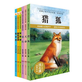 《动物小说大王沈石溪获奖作品:沈石溪经典获奖书系》（套装全6册）