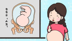 孕期知识分享-胎儿入盆