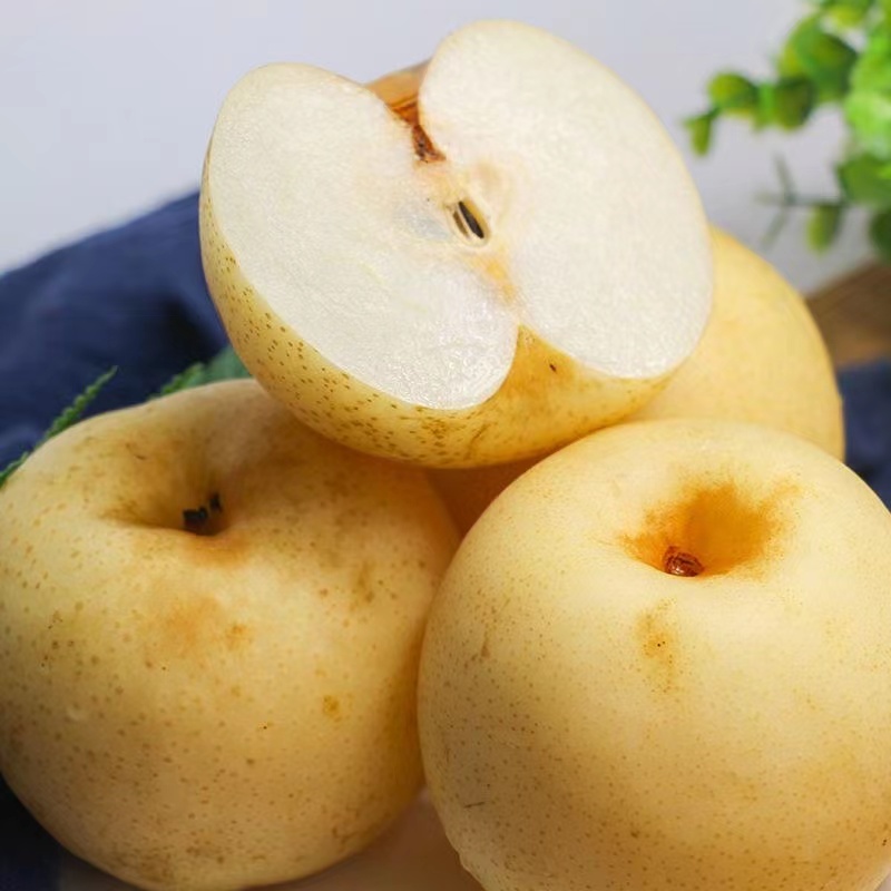 合作产品/ 有机黄金梨（基地直发）全国包邮，偏远地区除外