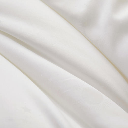 10楼堂皇暖眠新雪丽春秋被-1吊牌价1690-1990元活动价999-1099元 商品图4