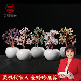 灵机吉品能量五蕴吉祥迷你水晶树 