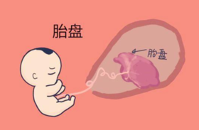 孕期知识分享#胎盘的知识汇总