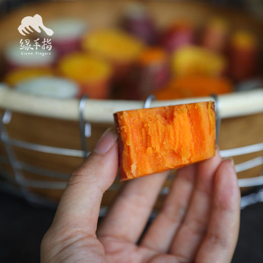 生态河南红薯（哈密红） | 合作生产* Ecological babe pumpkin | Coproduction 商品图4