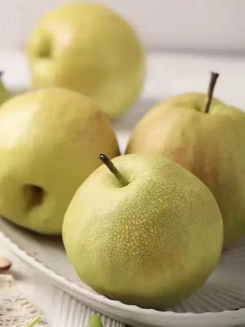 山西 隰县玉露香梨 6.5斤12颗      甜脆无渣皮薄肉厚 当季水果脆甜无渣 商品图1