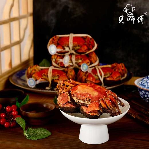 23年贝师傅阳澄湖大闸蟹套餐(蟹卡）1898型 商品图5