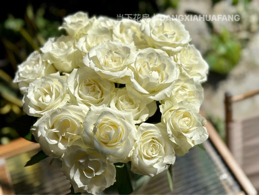 【AB级骄傲玫瑰.第二件减10元】10支/份 长约60-65cm 商品图1