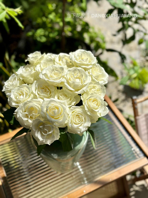 【AB级骄傲玫瑰.第二件减10元】10支/份 长约60-65cm 商品图8