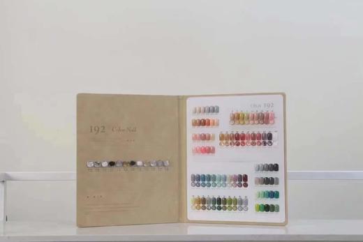 【秒杀价】——辰汐  192色 商品图1