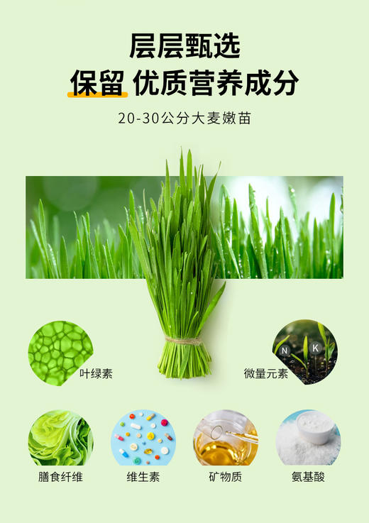 【应季好物】益生元青汁固体饮料3克*20袋*3盒 商品图5