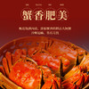 蟹卡 | 阳澄湖大闸蟹 | 公3.5两4只/母2.5两4只 |礼券 商品缩略图0