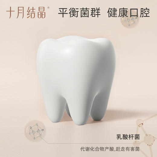 【满99-20/199-50】益生菌漱口水月子一次性漱口液专用便携式小支装条装 商品图2