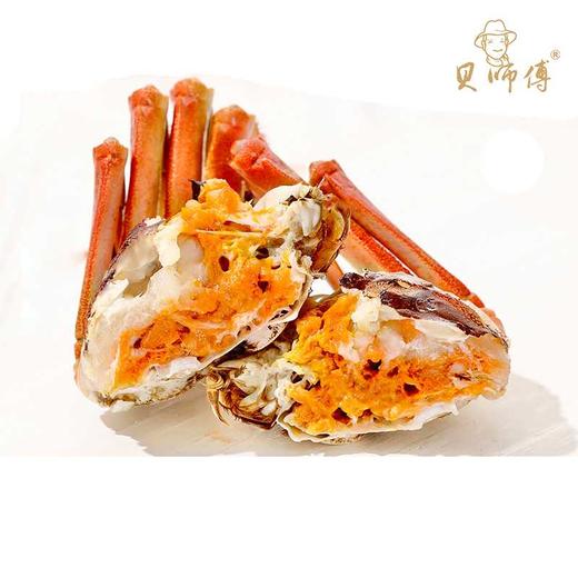 23年贝师傅阳澄湖大闸蟹套餐(蟹卡）498型 商品图3