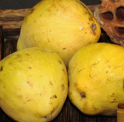 西域古秘 新疆喀什土梨膏 低温负压浓缩熬制速溶冲饮 130g 商品图1