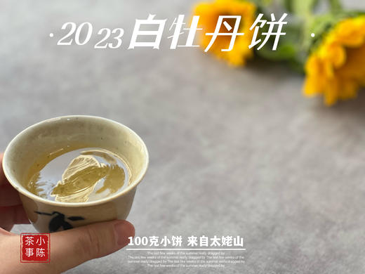 2023白牡丹《小冰肌》，柔！润！滑！细！花香潋滟，汤水柔中带润，润中含香 商品图14