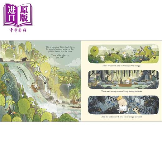 【中商原版】 DK绘本百科系列 动植物知识科普故事图画书8册 英文原版 Brendan Kearney Bird Fish Forest Arctic Bee 商品图6