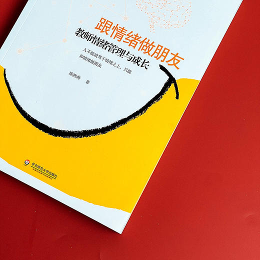 跟情绪做朋友 教师情绪管理与成长 教师修养 大夏书系 中小学教师情绪自我控制 商品图3