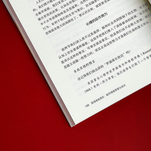 跟情绪做朋友 教师情绪管理与成长 教师修养 大夏书系 中小学教师情绪自我控制 商品图10